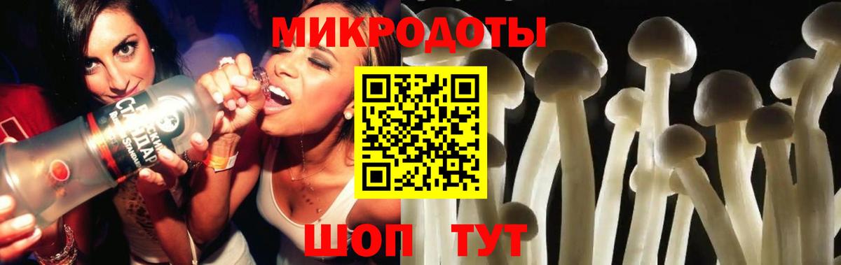 Галлюциногенные грибы Psilocybe Глазов